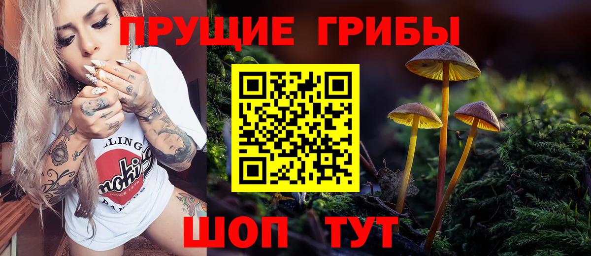 Псилоцибиновые грибы мицелий  Псилоцибиновые грибы Cubensis  Вход с VPN  Зеленогорск 